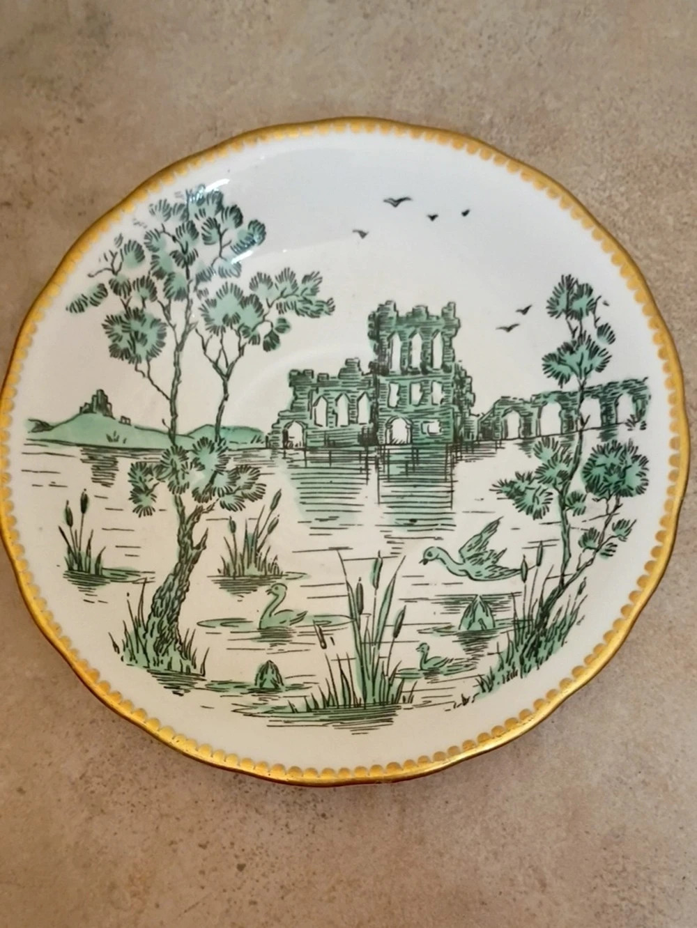 Royal Doulton Scenic Decorative Plate in White & Green